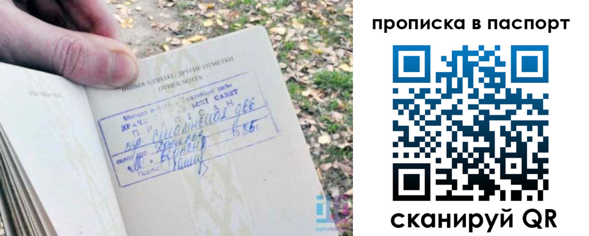 купить прописку в Шелехове